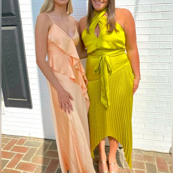 AMUR Dixon Dress - Picture 3 of 6